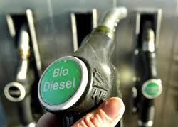 biodiesel