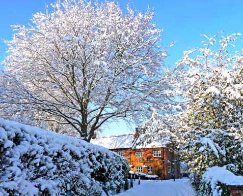 Snowy Blewbury