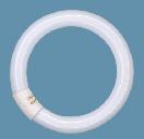 Circular fluorescent