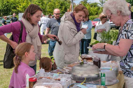 BGM at Festival opening