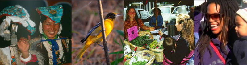 Economics of Happiness images