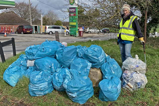 litter pick