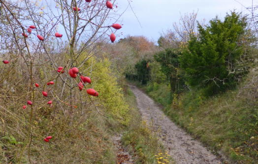 Rubble Pit Lane after