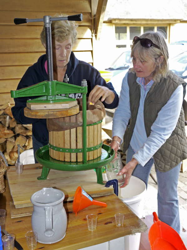 Apple juice pressing