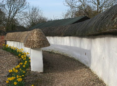 Cob walls and footpath