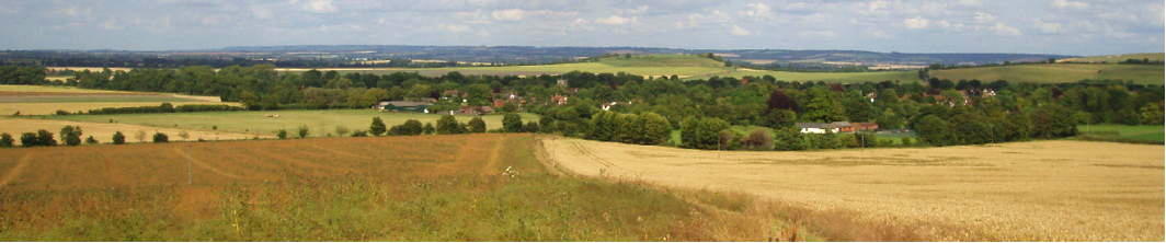 Downland
