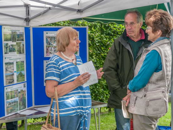 Anita's Garden exhibition