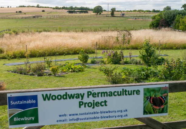 General view Aug. 2013