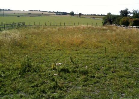 plot before planting