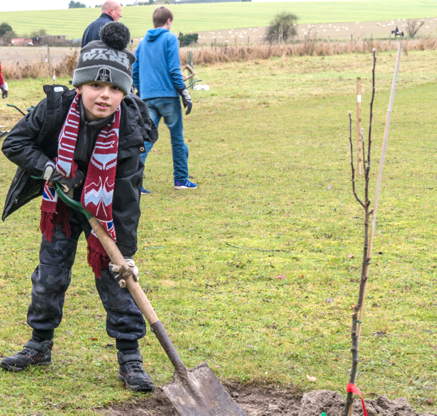 tree planting