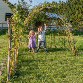 Willow shelter in May 2013