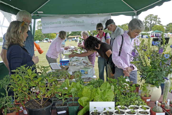 Festival opening day